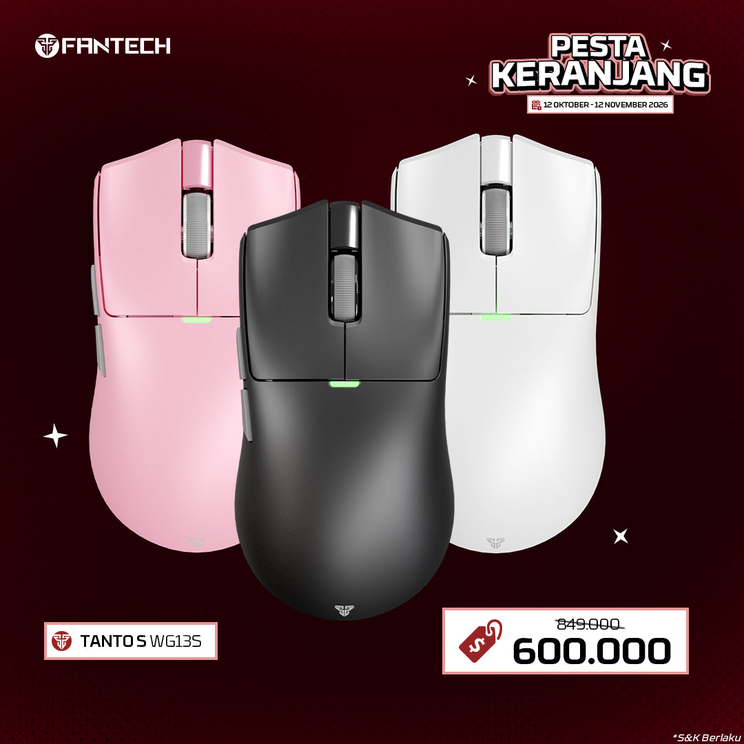 WG13S Mouse Gaming Wireless Rechargeable