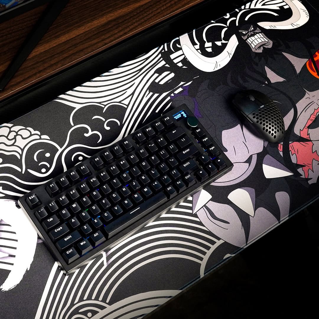 One Piece Kaido
