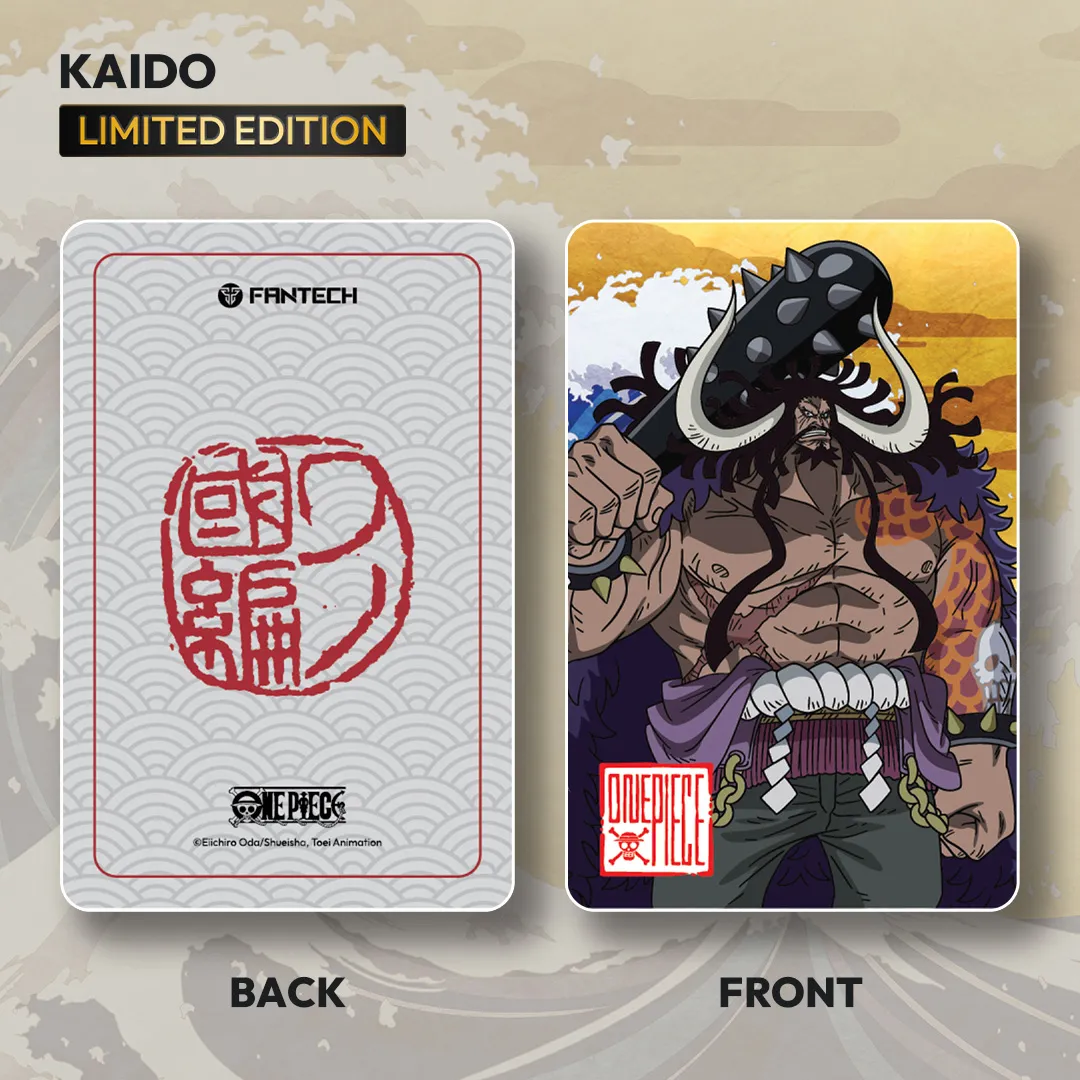 One Piece Kaido 8