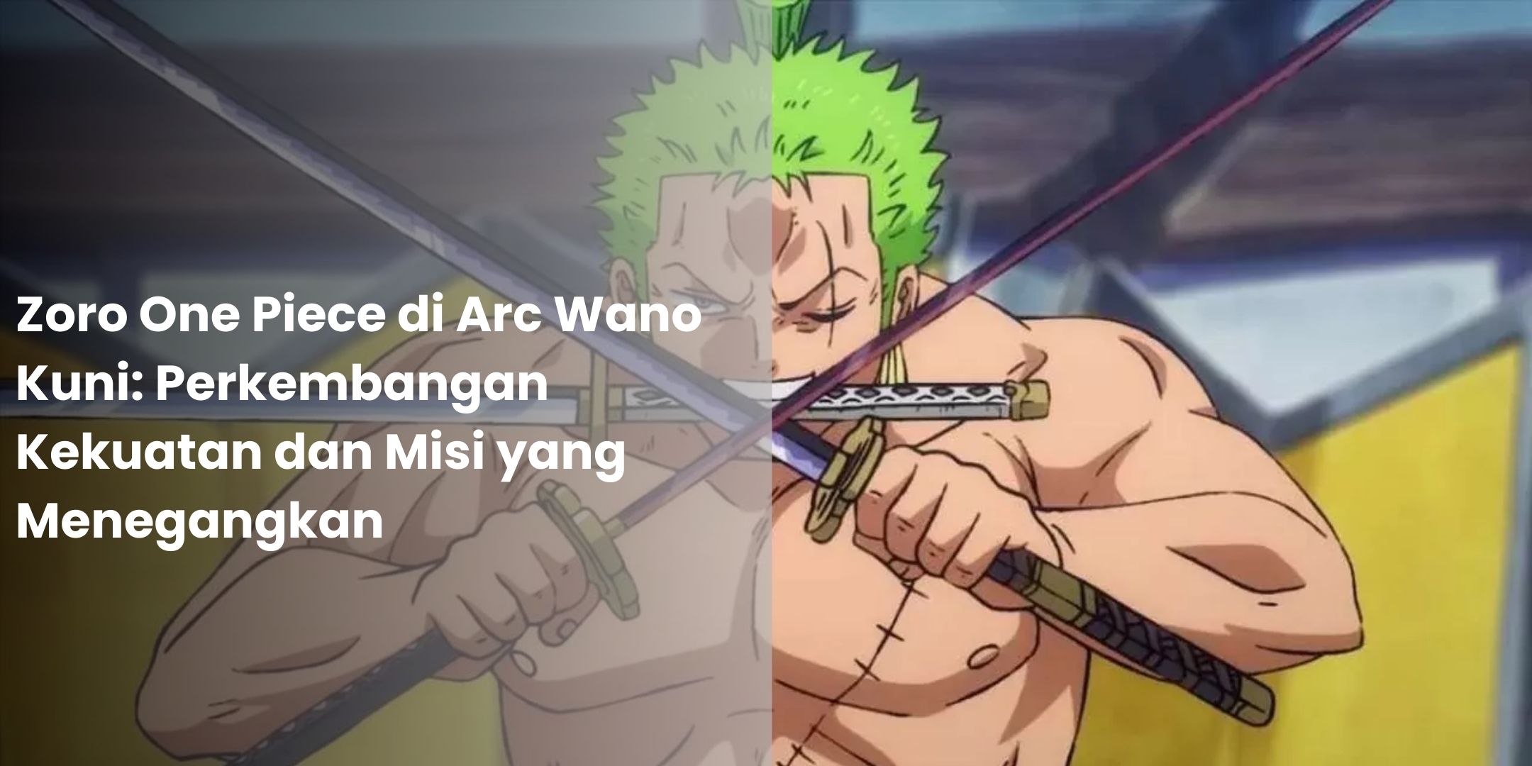 Zoro One Piece