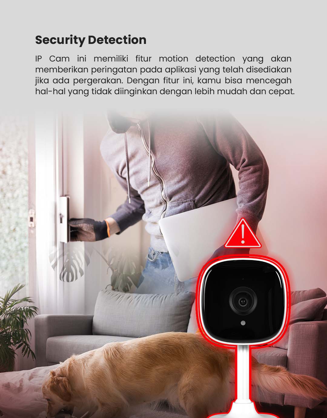 Cctv Sc01 Security Detection