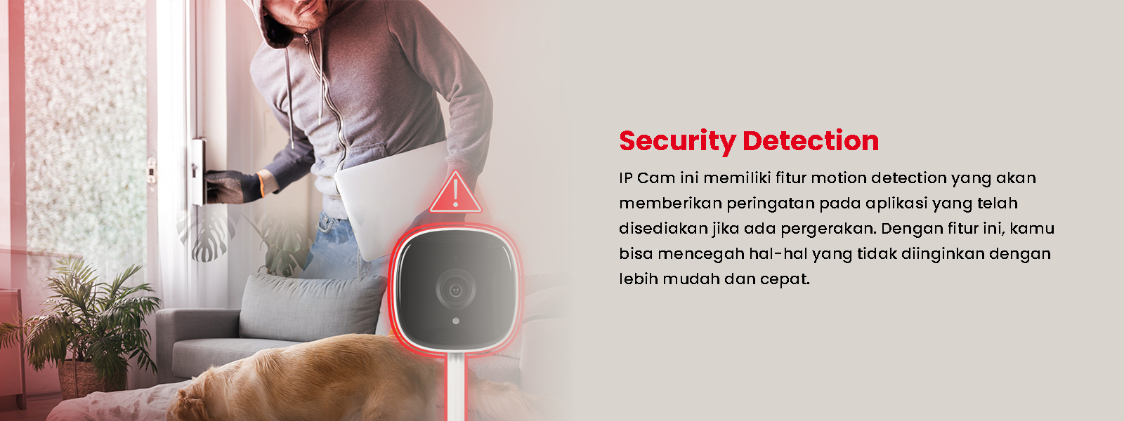 Cctv Sc01 Security Detection